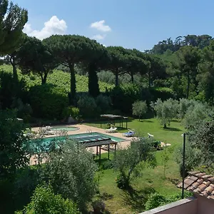 Frascati Apartment